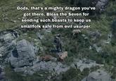 Gods, that's a mighty dragon you've got there. Bless the Seven for sending such beasts to keep us smallfolk safe from evil usurper.