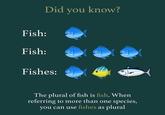 Fish: Fish: Did you know? Fishes: The plural of fish is fish. When referring to more than one species, you can use fishes as plural