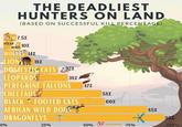 THE DEADLIEST HUNTERS ON LAND (BASED ON SUCCESSFUL KILL PERCENTAGE) FIGERS 7.5% POLAR BEARS 10% WOLVES 14% LIONS 18% DOMESTIC CATS 32% LEOPARDS PEREGRINE FALCONS CHEETAHS BLACK FOOTED CATS AFRICAN WILD DOG DRAGONFLYS 38% 47% 58% 60% 85% 95% 0% 25% 50% StatsPanda 75% 100%
