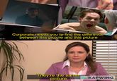Corporate needs you to find the difference between this picture and this picture They're the same picture KAPWING