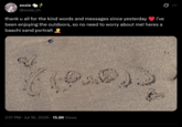 essie @essie_ch thank u all for the kind words and messages since yesterday i've been enjoying the outdoors, so no need to worry about me! heres a baachi sand portrait 2:17 PM · Jul 16, 2026 15.8K Views 0