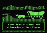 You have died of diarrhea lettuce.