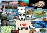 LIFE