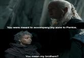 You were meant to accompany my sons to Pentos. You mean my brothers?
