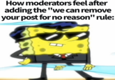 How moderators feel after adding the "we can remove your post for no reason" rule: