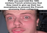 POV: you just told the 18th century French aristocracy that they need to give up their tax exemptions to prevent the French economy from collapsing