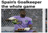 Spain's Goalkeeper the whole game
