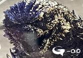 G-0.0