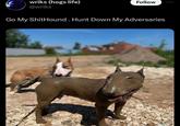 wriks (hogs life) @wriks Follow Go My ShitHound. Hunt Down My Adversaries