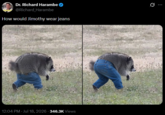 Dr. Richard Harambe @Richard Harambe How would Jimothy wear jeans 12:04 PM - Jul 18, 2026 - 346.3K Views