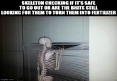 SKELETON CHECKING IF IT'S SAFE TO GO OUT OR ARE THE BRITS STILL LOOKING FOR THEM TO TURN THEM INTO FERTILIZER imgflip.com