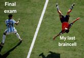 Final exam C E. FERNANDEZ 24 22 ៨៨ My last braincell