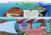 The Lavender Scare be like: Two people who love each other dearly and wish to build and life together who just so happen to be the same sex 10 The United States Government