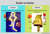 SCALAR Scalar vs Vector VECTOR A scalar quantity has magnitude only. A vector has both magnitude and sp ZY H VO direction. velo ight fric sciencenotes.org