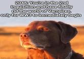 2046: You're in the 2nd Inquisition and have finally rid the world of Vampires, only for WW3 to immediately begin imgflip.com