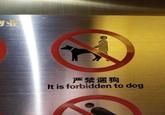 严禁遛狗 It is forbidden to dog
