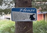 Flease Do not drop your c-------- on the Ground. The rabbits come out at night to smoke them. And we are trying to get them to qui