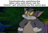 Czechoslovaks watching the allies who sold them out for "peace" get attacked by the same guy imgflip.com