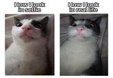 How I look in selfie How I look in real life