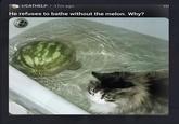 r/CATHELP ⚫ 17m ago He refuses to bathe without the melon. Why?