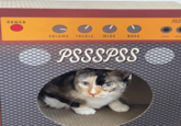 POWER PSS VOLUME TREBLE MIDS BASS INPUT PHO PSSSPSS