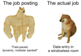 The job posting The actual job "Fast-paced, dynamic, rockstar wanted" Data entry in a windowless room