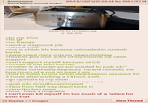 Anonymous Tried killing myself today AIAX 09/15/23(Fri)20:26:54 No.906139114 S-Shower with me, s-senpai! LIVING CO >be me 27m >no gf >no friends 1693879751131364m.jpg >work a wagecuck job >have a child 51 KB JPG >not in childs life because railroaded in custody battle >supervised visits only on bdays/holidays >have to give over a 3rd of my income via child support >can't support myself because of CS >forced to live with mother >mother is a horder so surrounded by junk 24/7 >mother constantly degrades me and reminds me how much of a pos an loser I am >had to listen to one of her degradation sessions for 3 hours after working a 14 hour shift >go upstairs to my room >duct tape a plastic bag over my head >goal was to suffocate myself >view from half way down kicks in >claw the bag open >now I have a migraine I can't even kill myself Im too much of a failure for even that. 23 Replies/3 Images View Thread