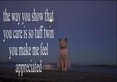the way you show that you care is so tuff twin you make me feel appreciated