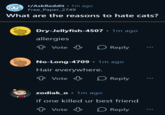• r/AskReddit ⚫ 1m ago Free_Paper_2749 What are the reasons to hate cats? . Dry-Jellyfish-4507 • 1m ago allergies ↑ Vote > Reply No-Long-4709 • 1m ago Hair everywhere. ↑ Vote > Reply zodiak_o • 1m ago if one killed ur best friend ✰ Vote ↓ Reply