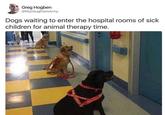 Greg Hogben @MyDaughtersArmy Dogs waiting to enter the hospital rooms of sick children for animal therapy time. SICS