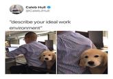 Caleb Hull @CalebJHull "describe your ideal work environment"