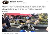 Nicole Brown @NicoleTatum26 Yesterday Disney Land had a service. dog field trip. If this isn't the cutest thing MARGARITAS MARGARITAS, TACOS 20A 3/30/18, 3:37 PM