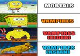 imgflip.com MORTALS VAMPIRES VAMPIRES (ELDER) VAMPIRES CASIAN)