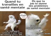Quand tu travailles en Pis que ta job te donne des problèmes santé mentale de santé mentale J'ai rien appris à l'école à part faire des bibliographies APA... Savoir expérientiel! Larridon dondée