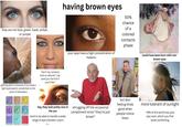 they are not blue, green, hazel, amber, or purple getting weird comments if you have a light eyed parent, sometimes to the point of disrespect F Gelato Cooide Dough Lemon Blueberry Cheesecake Birthday Cake Cotton Candy Honey Lavender Mint Chocolate Rainbow Sherbet "don't my contacts look so natural? i can send you the link if you'd like" having brown eyes your eyes have a high concentration of melanin 50% chance of a colored contacts phase could have been born with non- brown eyes hey, they look pretty nice in the sun tend to be able to handle a wider range of eye cosmetic colors <-- shrugging off the occasional compliment since "they're just brown" but also feeling kinda good when people notice them more tolerant of sunlight ~78% of the world has your eye color, which you find quite comforting