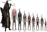 17 ft 14.11 ft 4.30m 11.46 ft 3.49 m 10 ft 3.05 m 9.16 ft 2.79 m 8.53 ft 8.15 ft 2.6 m 2.49 m 7.56 ft 2.3 m 6 ft 1.83 m Emperor of Mankind Primarch (Vulkan) Primarch (Rogal Dorn) Custodes Primaris (Marneus Calgar) Thunder Warrior Astartes Imperial Guard