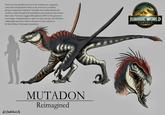 Teeth are more plentiful and a lot more cumbersome, suggesting some form of hyperdontia. Beak on the lower jaw is extended, giving an impractical underbite. Noticably more malnourished with vertebrae visible through their hunchbacks and translucent skin around their necks. Tail wakes suggest Dimorphodon DNA in the genome to some degree. Enlarged talons to grab onto prey and take off with them. Added quills and more vibrant coloration to show relation to Ile Saint Hubert Velociraptor population. JURASSIC WORLD REBIRTH @shamroknroll MUTADON Reimagined