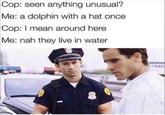 Cop: seen anything unusual? Me: a dolphin with a hat once Cop: I mean around here Me: nah they live in water