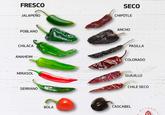 FRESCO JALAPEÑO SECO CHIPÒTLE POBLANO CHILACA ANCHO PASILLA ANAHEIM COLORADO MIRASOL SERRANO GUAJILLO CHILE SECO BOLA CASCABEL