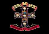 GUNGANS N ROSES MESA BUSTEN WIT HAPPINESS