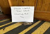 Please Watch Your Step Sleeping Bat