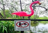 H Please do not share kebabs with the flamingos