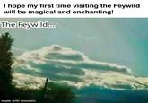 I hope my first time visiting the Feywild will be magical and enchanting! The Feywild.... made with mematic