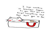 I hope something so beautiful happens to you will you. That forget everything that has hurt you so far