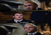 You think there is someone worse then a Carthaginian? A Gaul? Good one, Goyle!