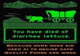 You have died of diarrhea lettuce. BECAUSE SOME DOGE KID USED AI TO DECIDE SAFE QUALITY FOODS ARE WOKE