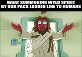 WHAT SUMMONING WYLD SPIRIT BY OUR PACK LOOKED LIKE TO HUMANS imgflip.com