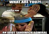 WHAT ARE YOU?! ADMIRAL KING AN IDIOT SANDWICH, ADMIRAL