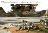 When a burglar enters your house: Dogs: made with mematic Cats: There is nothing we can do. made with mematic