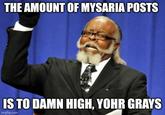 THE AMOUNT OF MYSARIA POSTS IS TO DAMN HIGH, YOHR GRAYS imgflip.com